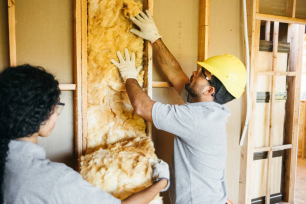 Best Insulation Contractors for Homes  in Hayfield, VA