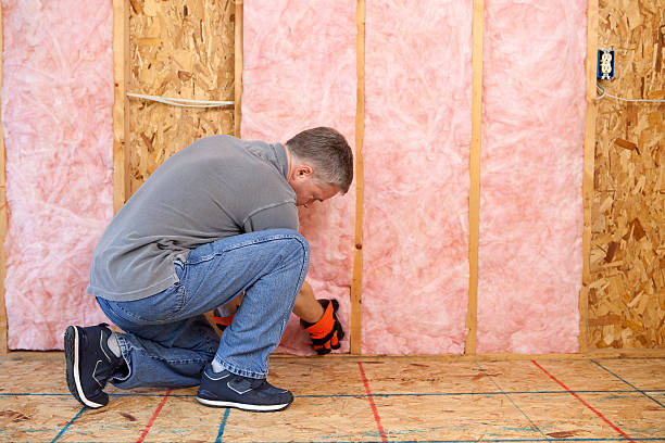 Best Insulation Contractor Near Me  in Hayfield, VA
